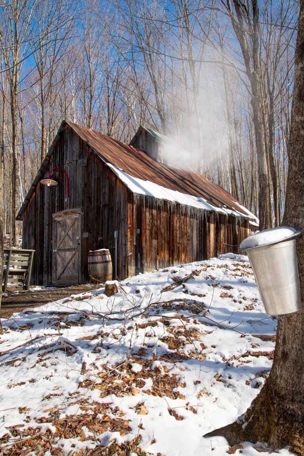 lasource activite cabane